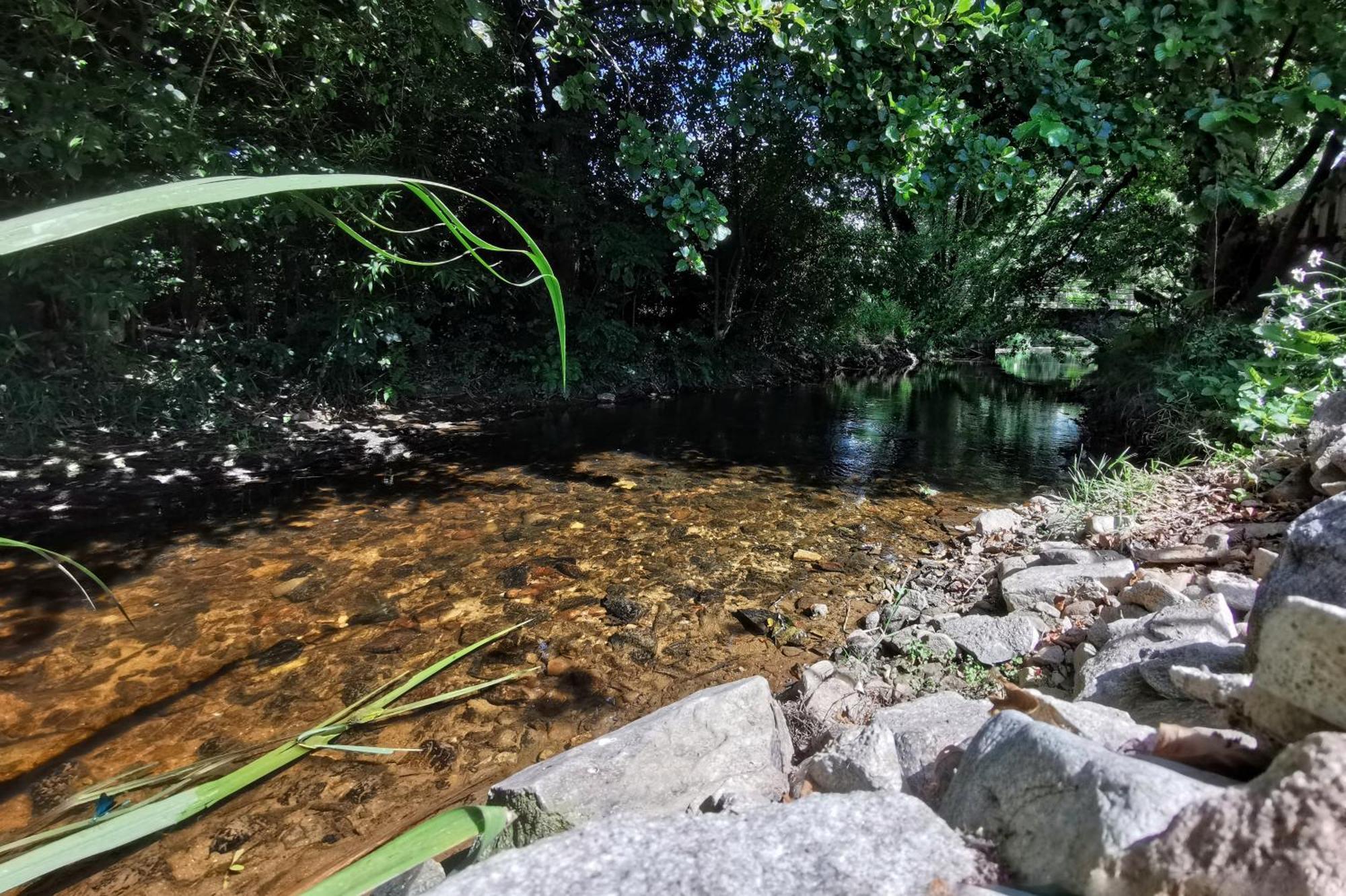 Gite Du Moulin Toucan Berneuil  Buitenkant foto