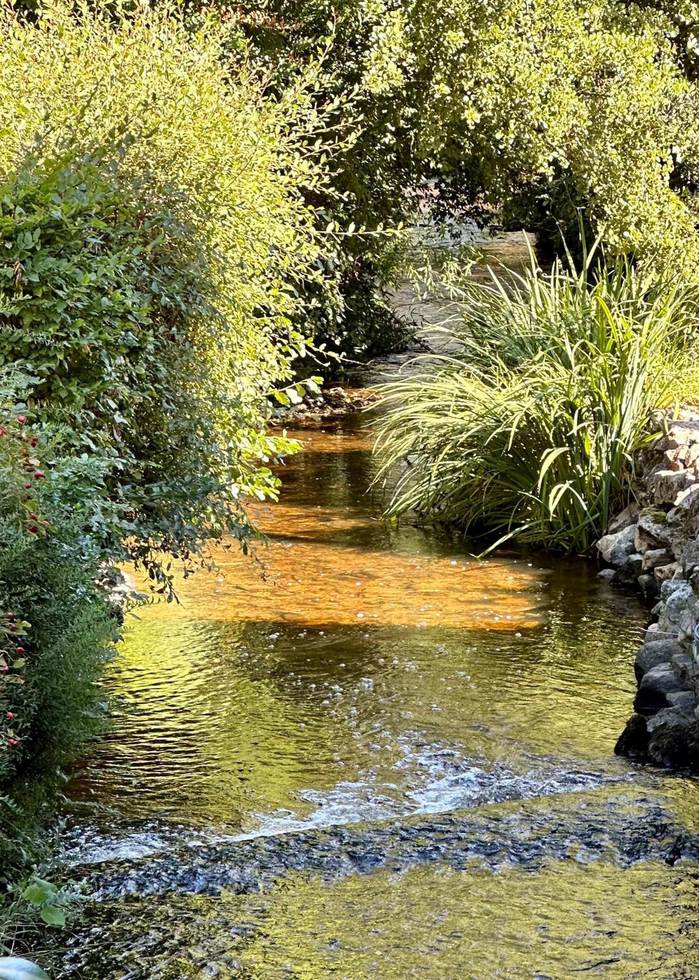 Gite Du Moulin Toucan Berneuil  Buitenkant foto